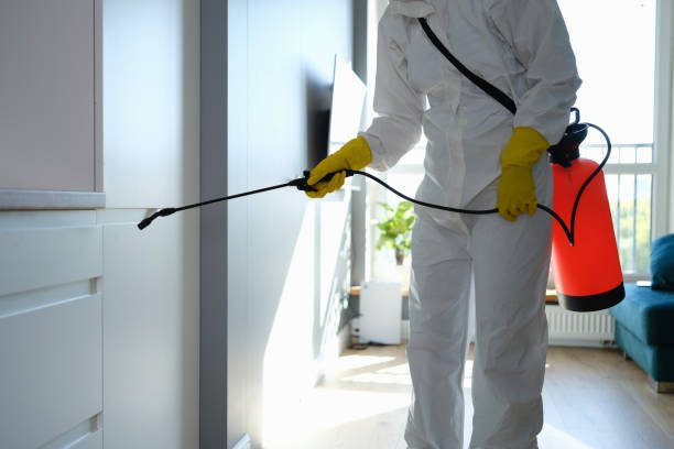 Best Pest Prevention Services  in Duenweg, MO